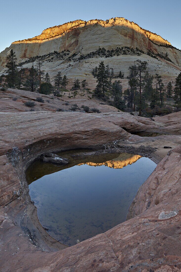 Pool in slick rock at dawn, Zion National Park, Utah, United States of America, North America