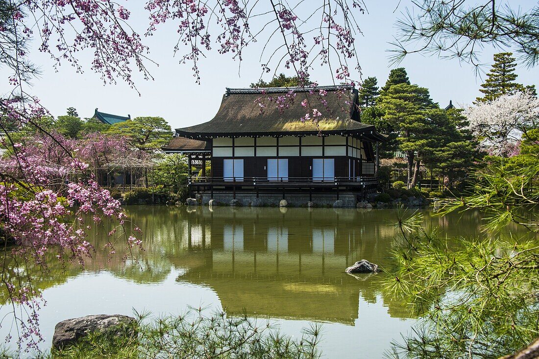 Okazaki Park in the Heian Jingu shrine, Kyoto, Japan, Asia