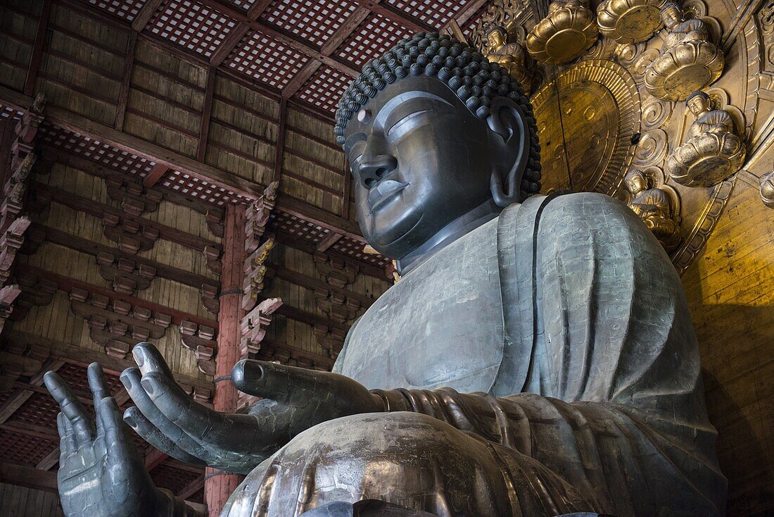 Big Buddha statue, Daibutsuden (Big Buddha Hall), Todaiji Temple, UNESCO World Heritage Site, Nara, Kansai, Japan, Asia