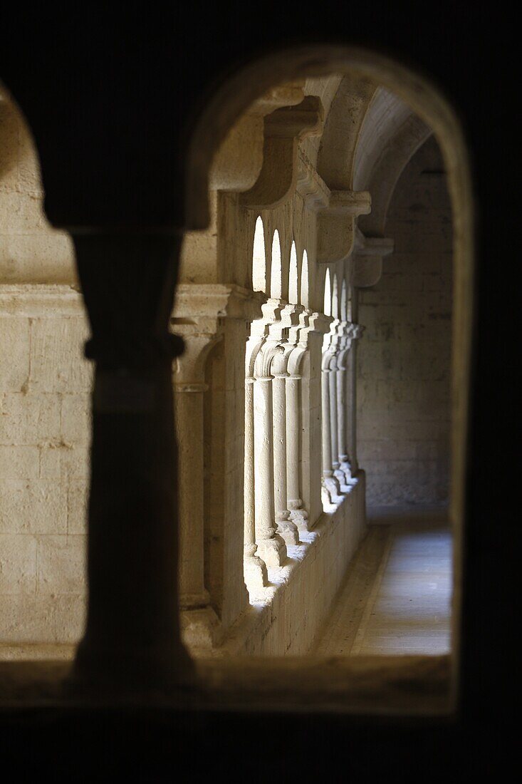 Ganagobie Monastery cloister, Ganagohie, Alpes de Haute Provence, France, Europe