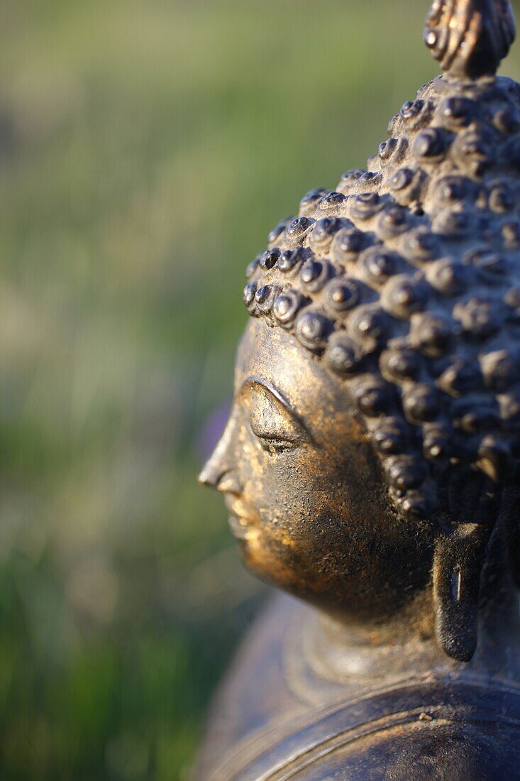 Thai Buddha, Haute Savoie, France, Europe