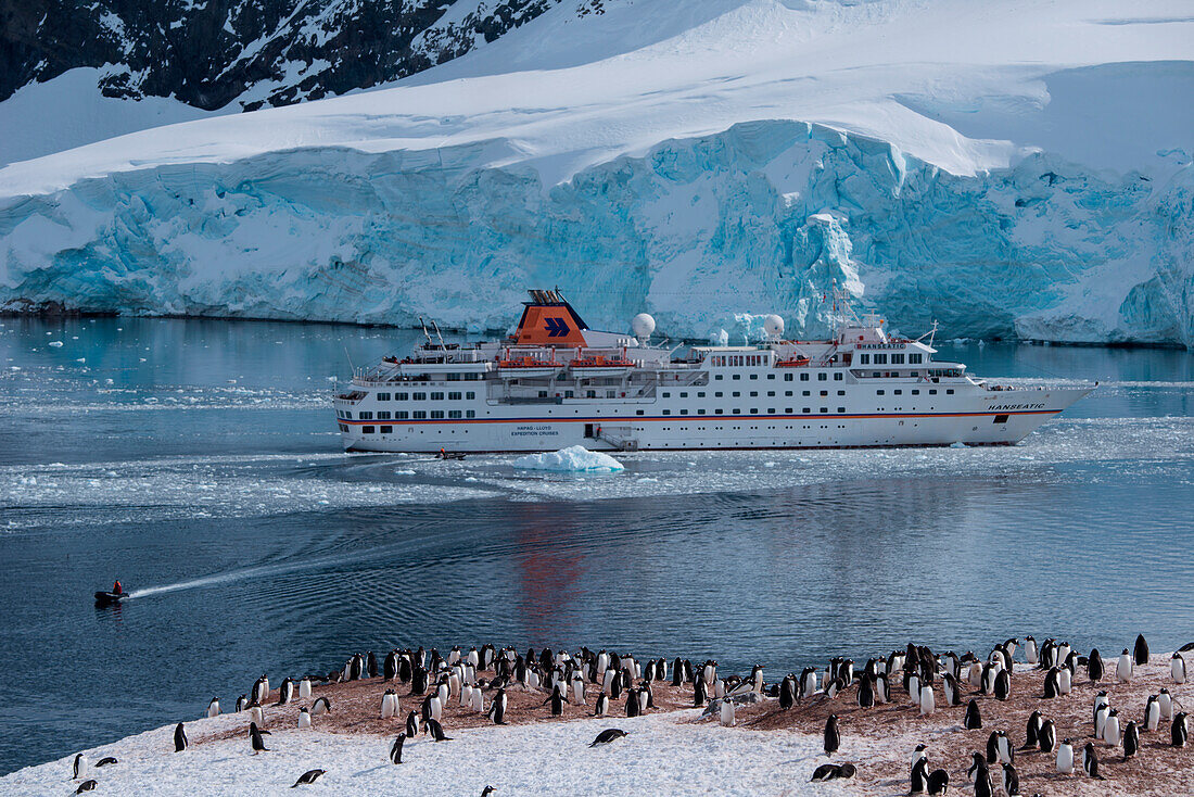 Overhead of expedition cruise ship MS Hanseatic (Hapag-Lloyd Cruises) at anchor with penguins in icy landscape, Neko Harbour, Graham Land, Antarctica