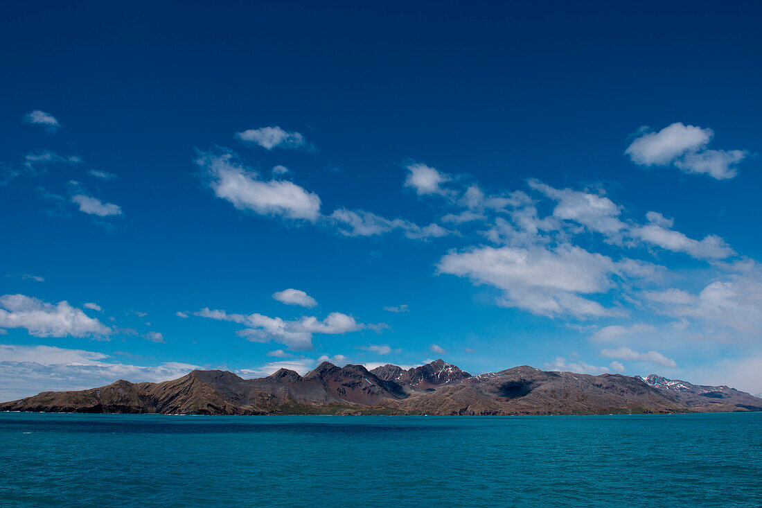 Blick auf Südgeorgien vom Meer aus gesehen, Grytviken, Südgeorgien, Antarktis