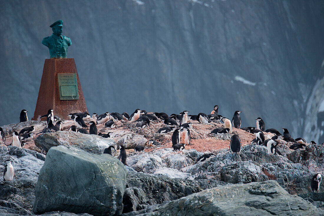 Pinguine nahe dem Monument zu Ehren vom chilenischen Kapitän der das Boot steuerte mit dem Sir Ernest Shackleton seine gestrandeten Männer retten wollte, Point Wild, Elephant Island, Südshetland-Inseln, Antarktis