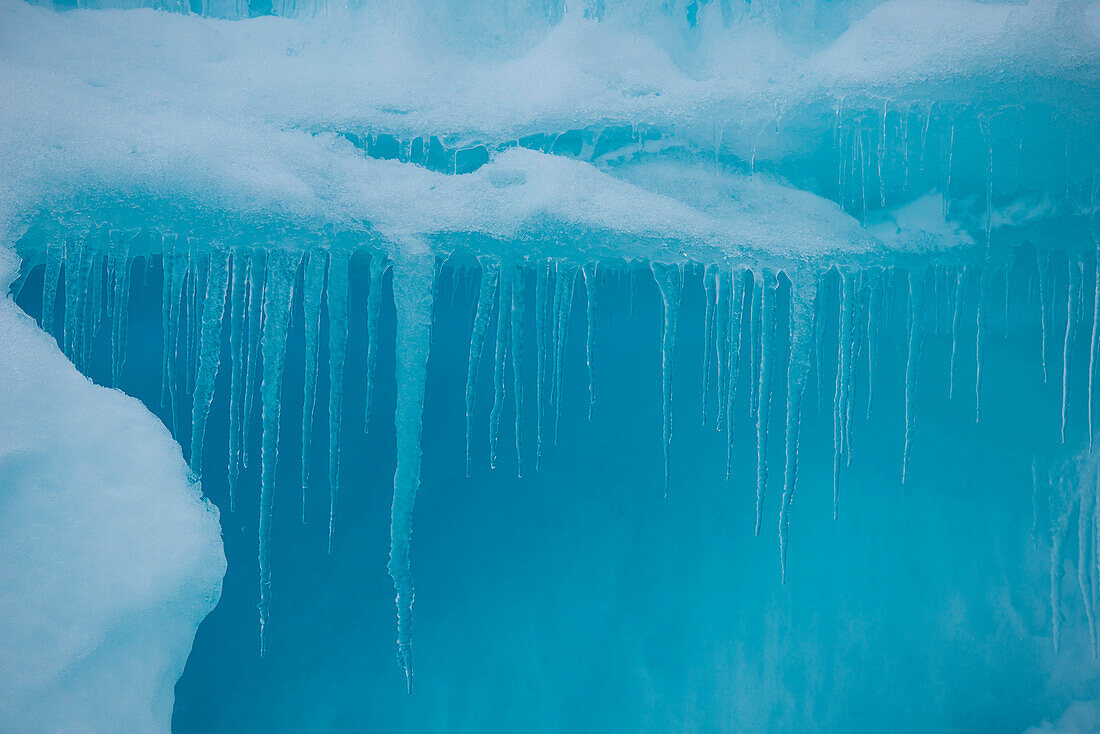 Detail of icicles on blue iceberg, Weddell Sea, Antarctic Peninsula, Antarctica