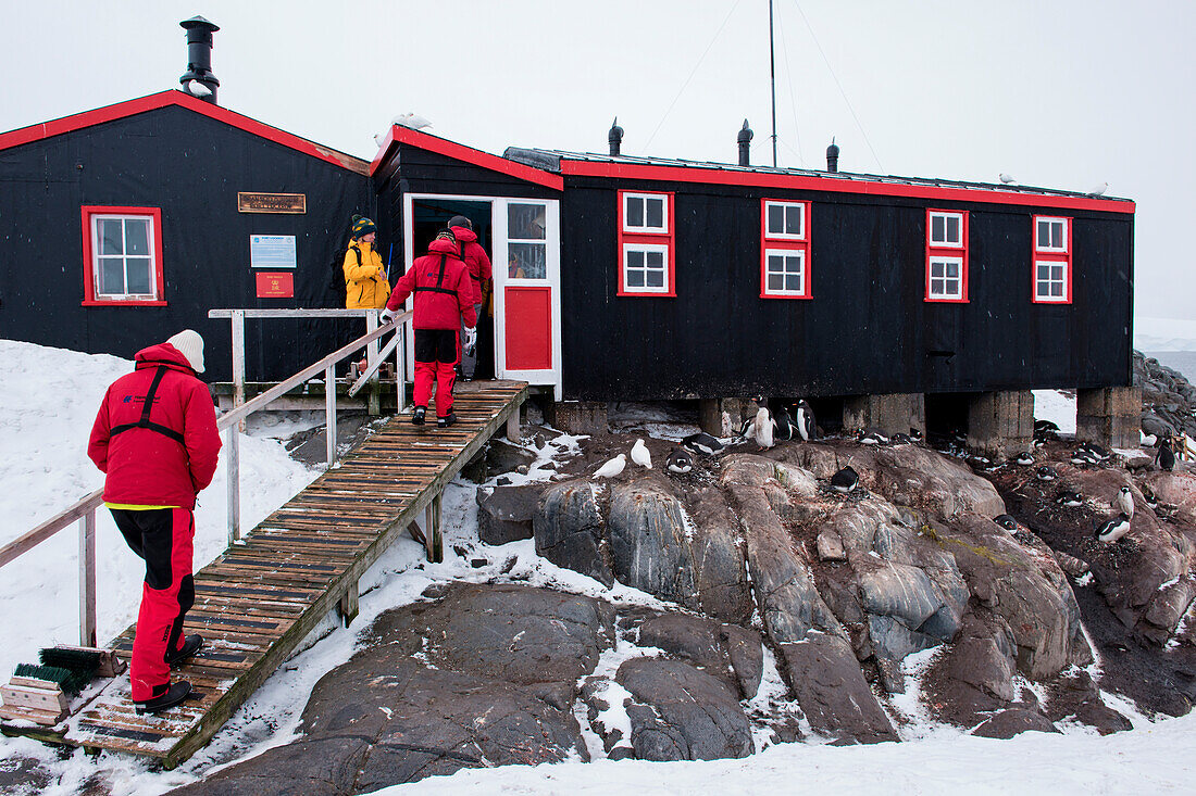 Passagiere von Expeditions-Kreuzfahrtschiff MS Hanseatic (Hapag-Lloyd Kreuzfahrten) besuchen Base A der Forschungsstation der British Antarctic Survey um sich mit Souvenirs einzudecken, Port Lockroy, Wiencke Island, Antarktis