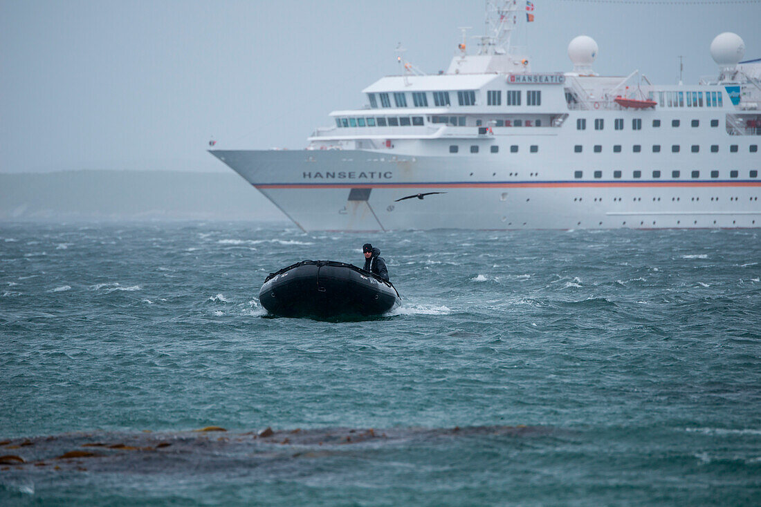 Zodiac Schlauchboot von Expeditions-Kreuzfahrtschiff MS Hanseatic (Hapag-Lloyd Kreuzfahrten), nahe Carcass Island, Falklandinseln, Britisches Überseegebiet, Südamerika