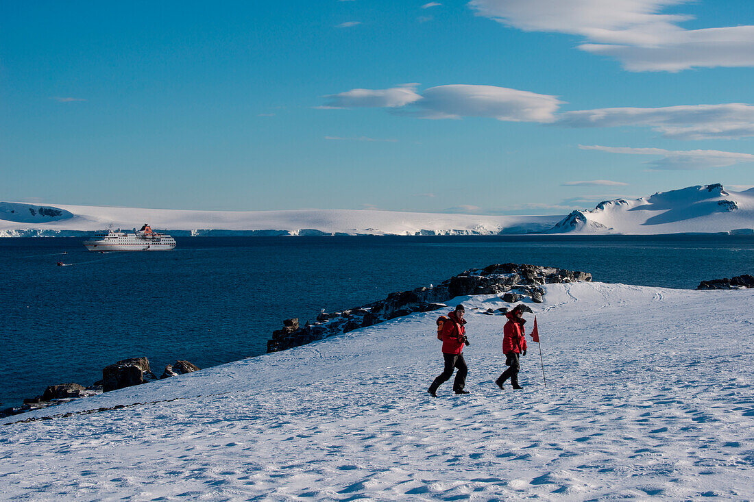 Passagiere von Expeditions-Kreuzfahrtschiff MS Hanseatic (Hapag-Lloyd Kreuzfahrten) folgen mit Flaggen abgesteckten Weg zu einer Kolonie von Zügelpinguinen (Pygoscelis antarctica) auf einem Hügel, Half Moon Island, Südshetland-Inseln, Antarktis