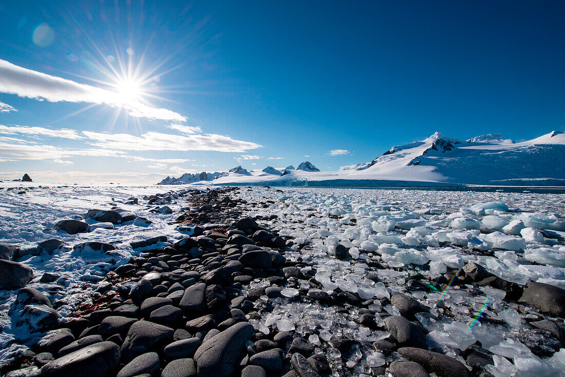 Chunks of ice line shore with dramatic mountain backdrop, Half Moon Island, South Shetland Islands, Antarctica