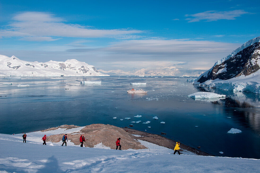 Passengers from expedition cruise ship MS Hanseatic (Hapag-Lloyd Cruises) trek through snow with view of vessel, Neko Harbour, Graham Land, Antarctica
