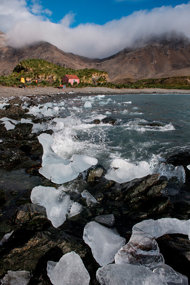 Strangely formed ice chunks line the beach, Jason Harbour, South Georgia Island, Antarctica