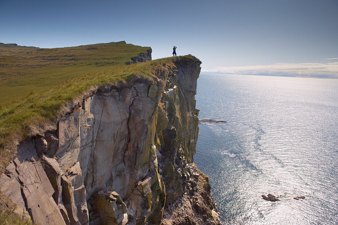 High cliffs rising to 400m at Latrabjarg, the largest bird colony in Europe, West Fjords region (Vestfirdir), Iceland, Polar Regions