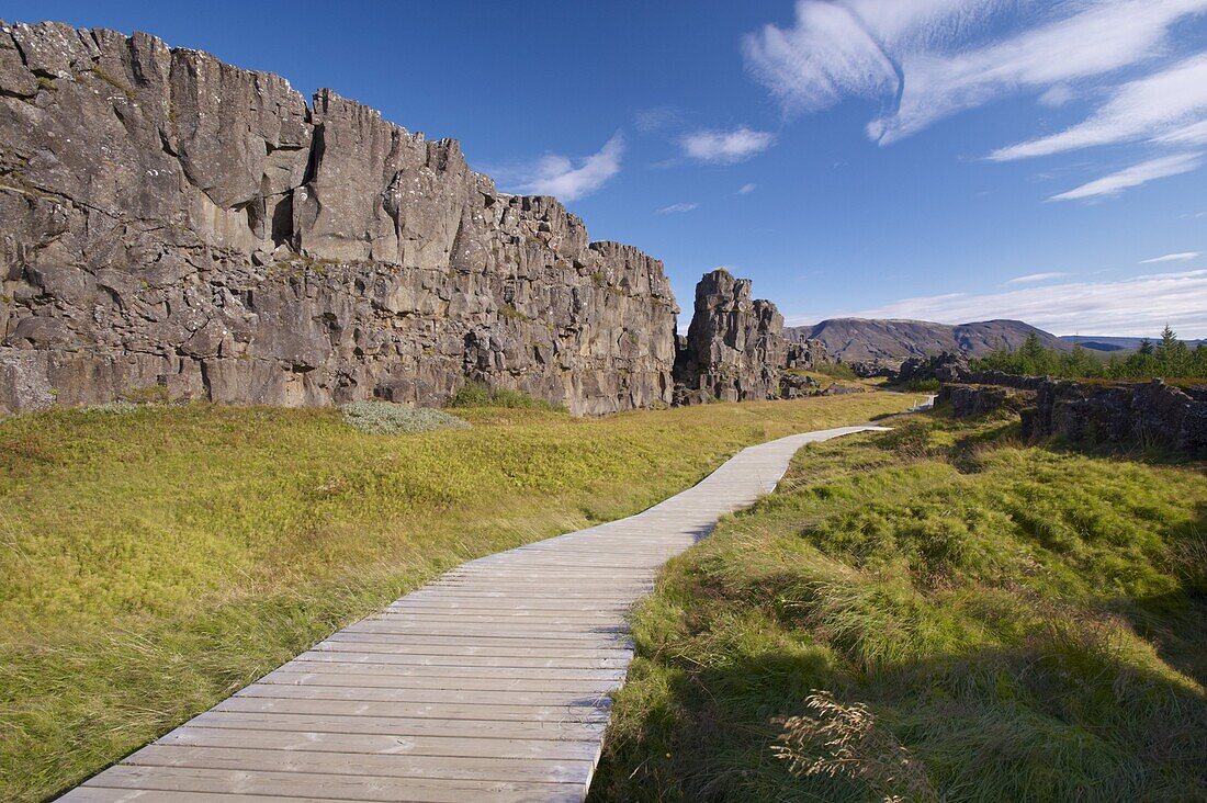 The Almannagja (All Man's Gorge) cliff face is the backdrop of the Althing, legislative assembly of the past, also the edge of the north American tectonic plate, Thingvellir National Park, UNESCO World Heritage Site, south-west Iceland (Sudurland), Icelan