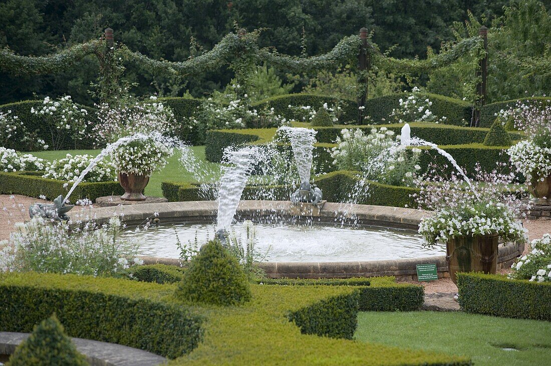 Fountains, ponds and white roses in the White Garden at Les Jardins du Manoir D'Eyrignqac in Salignac, Dordogne, France, Europe