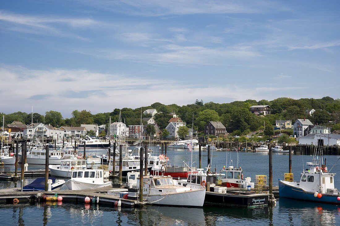 Fishing boats in the harbour in Gloucester, Massachussetts, New England, United States of America, North America
