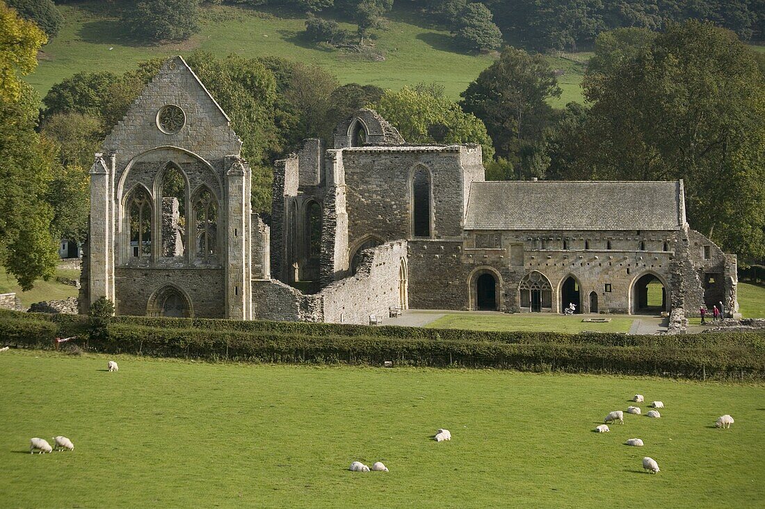 Valle Crucis Abbey, Llantisilio, Llangollen, Denbighshire, Wales, United Kingdom, Europe