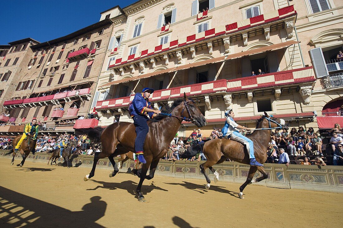 Riders racing at El Palio horse race festival, Piazza del Campo, Siena, Tuscany, Italy, Europe