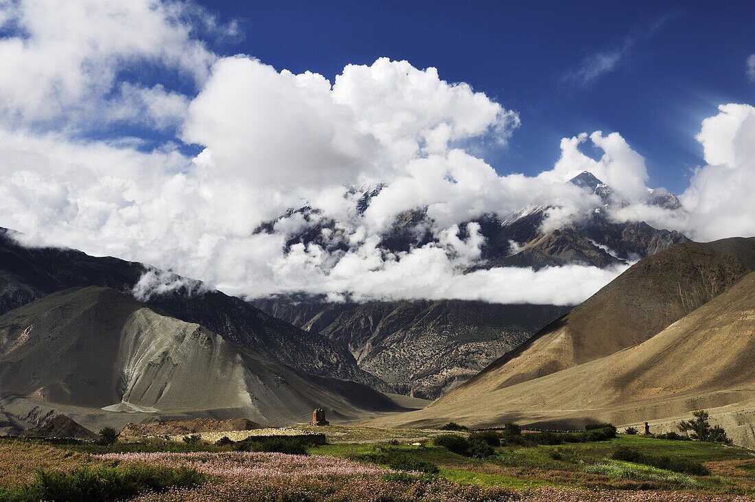 Muktinath Valley and Muktinath Himal, Annapurna Conservation Area, Mustang District, Dhawalagiri (Dhaulagiri), Western Region, Nepal, Asia