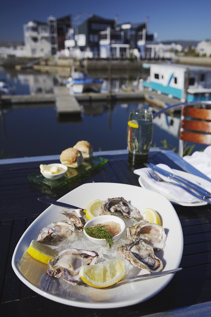 Plate of oysters at restaurant, Thesen's Island, Knysna, Western Cape, South Africa, Africa