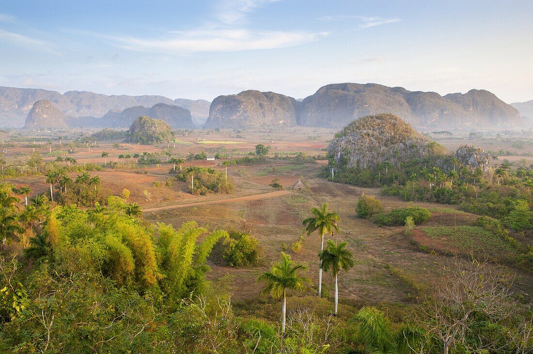 Early morning view over the Vinales Valley, UNESCO World Heritage Site, from Hotel Los Jasmines, Vinales, Pinar del Rio, Cuba, West Indies, Central America