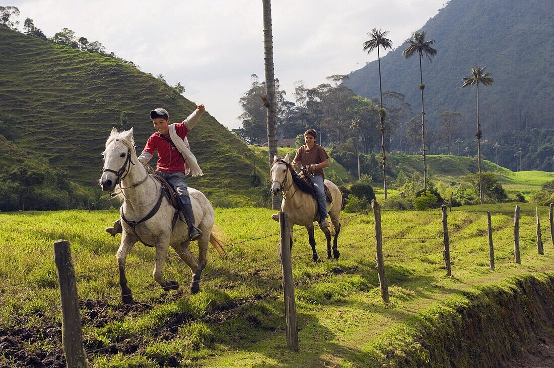 Boys horse riding in Cocora Valley, Salento, Colombia, South America