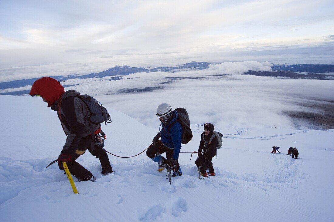 Climbers on the glacier of Volcan Cotopaxi, 5897m, the highest active volcano in the world, Ecuador, South America