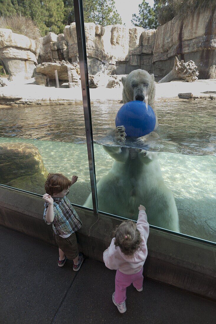 San Diego Zoo, Balboa Park, San Diego, California, United States of America, North America