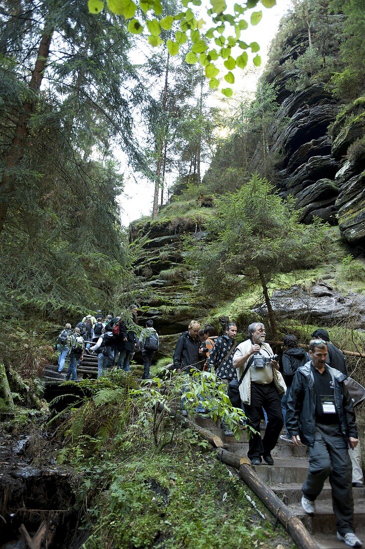 Saxon-Switzerland National Park, Saxony, Germany, Europe