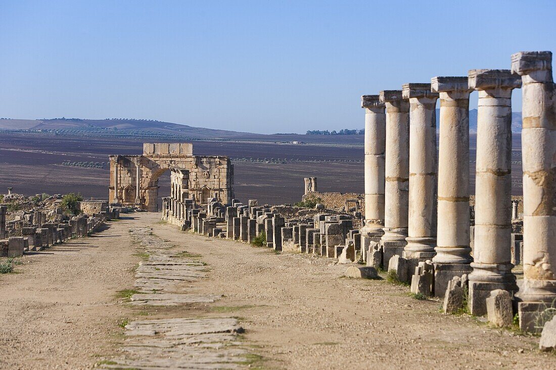 Triumph Arch, Roman ruins, Volubilis, UNESCO World Heritage Site, Morocco, North Africa, Africa