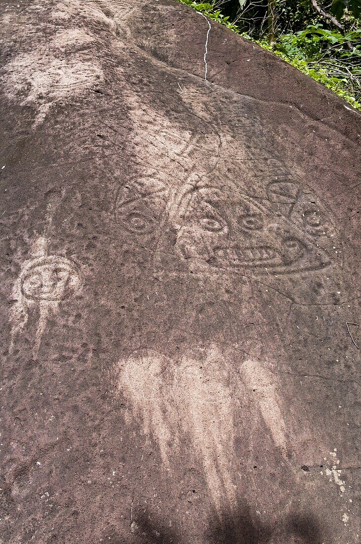 Petrogylph Rock in Layou Petroglyph Park, St. Vincent, St. Vincent and The Grenadines, Windward Islands, West Indies, Caribbean, Central America