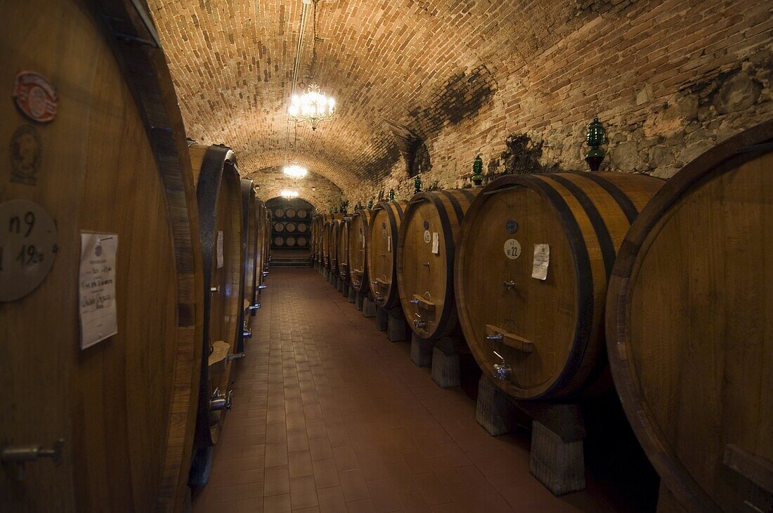 Wine casks in the wine cellars of the Villa Vignamaggio, a wine producer whose wines were the first to be called Chianti, near Greve, Chianti, Tuscany, Italy, Europe