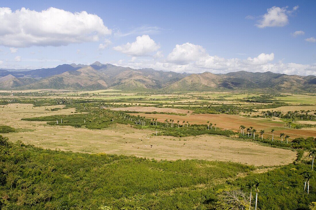 Sugar cane fields and the Escambray Mountains, Sancti Spiritus, near Trinidad, Cuba, West Indies, Central America
