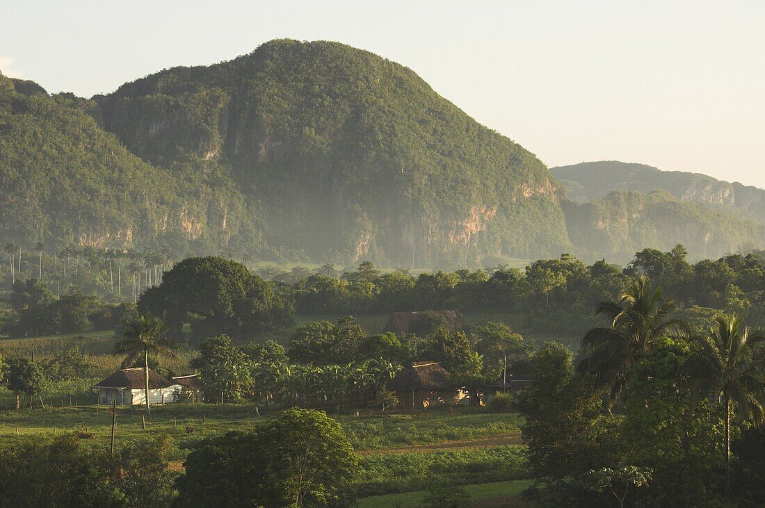 Fertile plain with little farm and typical haystack hills, Vinales, UNESCO World Heritage Site, Pinar del Rio province, Cuba, West Indies, Central America