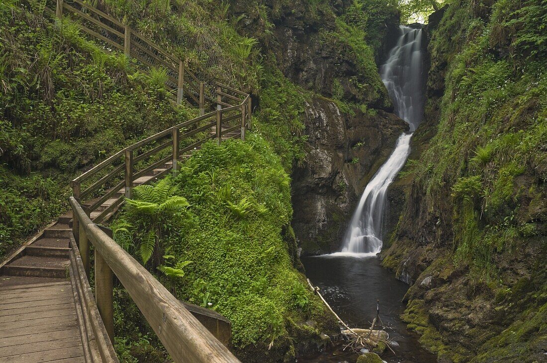 Visitor walkway and steps, Ess-na-Larach waterfall, Glenariff Country Park near Waterfoot, County Antrim, Ulster, Northern Ireland, United Kingdom, Europe