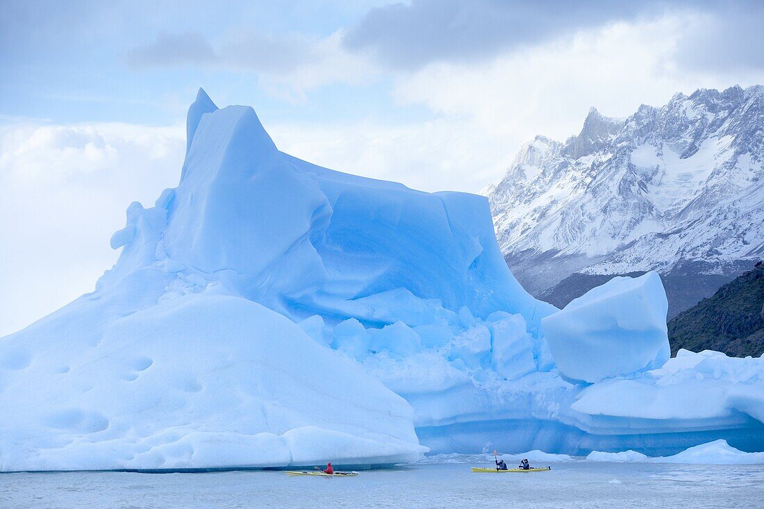People kayaking near floating icebergs, Lago Gray (Lake Gray), Torres del Paine National Park, Patagonian Andes, Patagonia, Chile, South America
