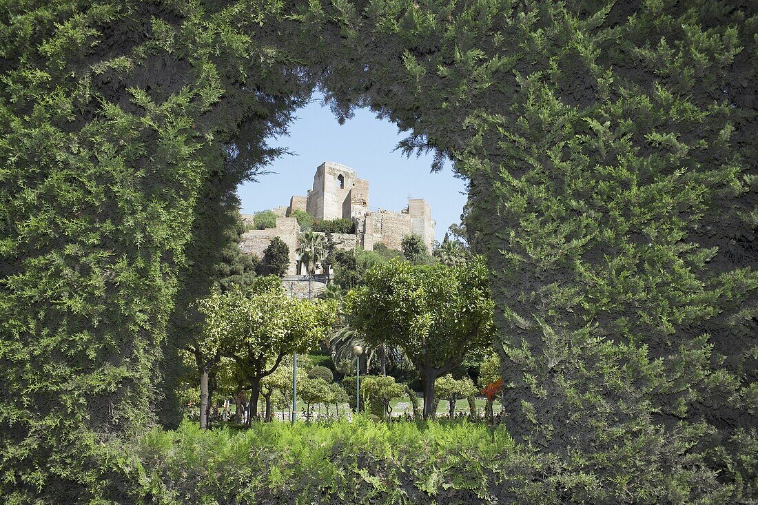 Castillo de Gibralfaro (Gibralfaro castle), Malaga, Andalucia (Andalusia), Spain, Europe