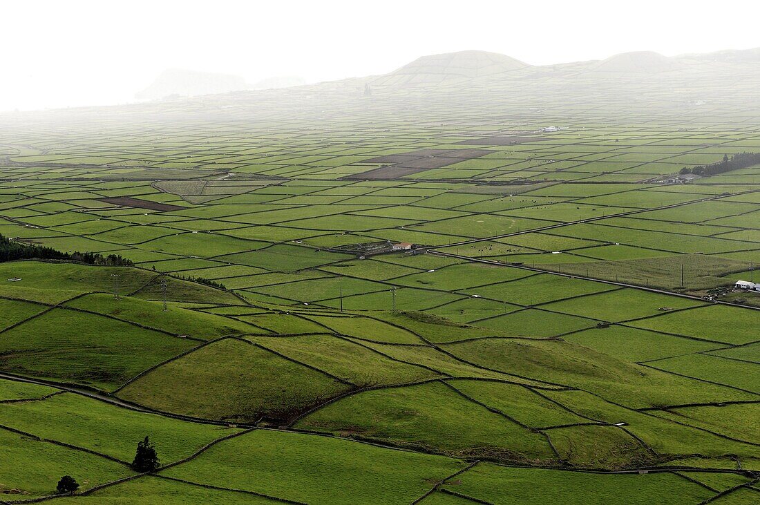 Siera do Cume, Terceira Island, Azores, Portugal, Europe