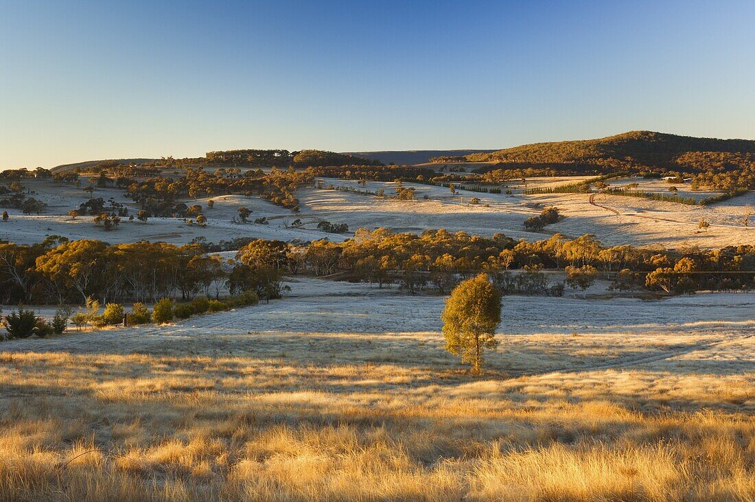 Field and hoar frost, Great Dividing Range, near Goulburn, New South Wales, Australia, Pacific