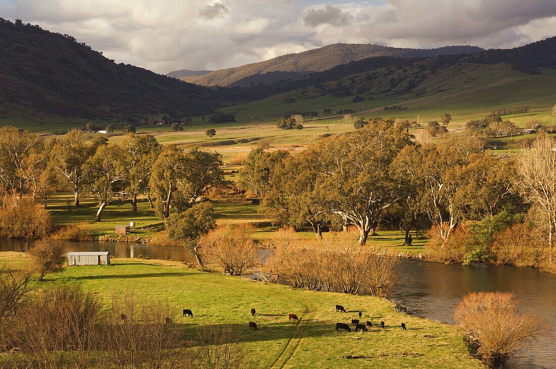 Murray River, near Towong, Victoria, Australia, Pacific