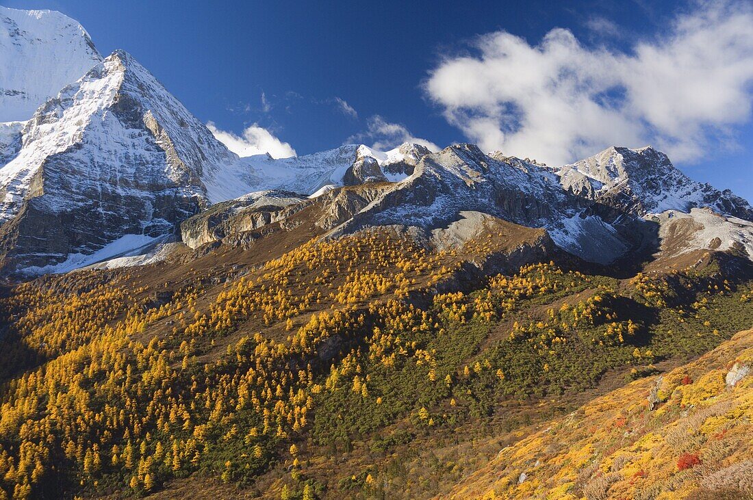 Xiannairi mountain, Yading Nature Reserve, Sichuan Province, China, Asia