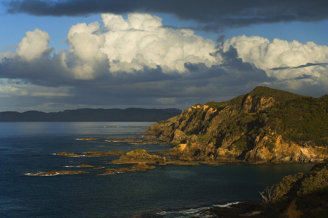 Coastline, Bay of Islands, North Island, New Zealand, Pacific