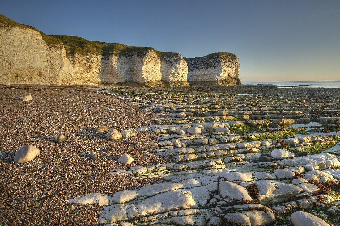 Selwicks Bay, Flamborough, East Yorkshire, England, United Kingdom, Europe