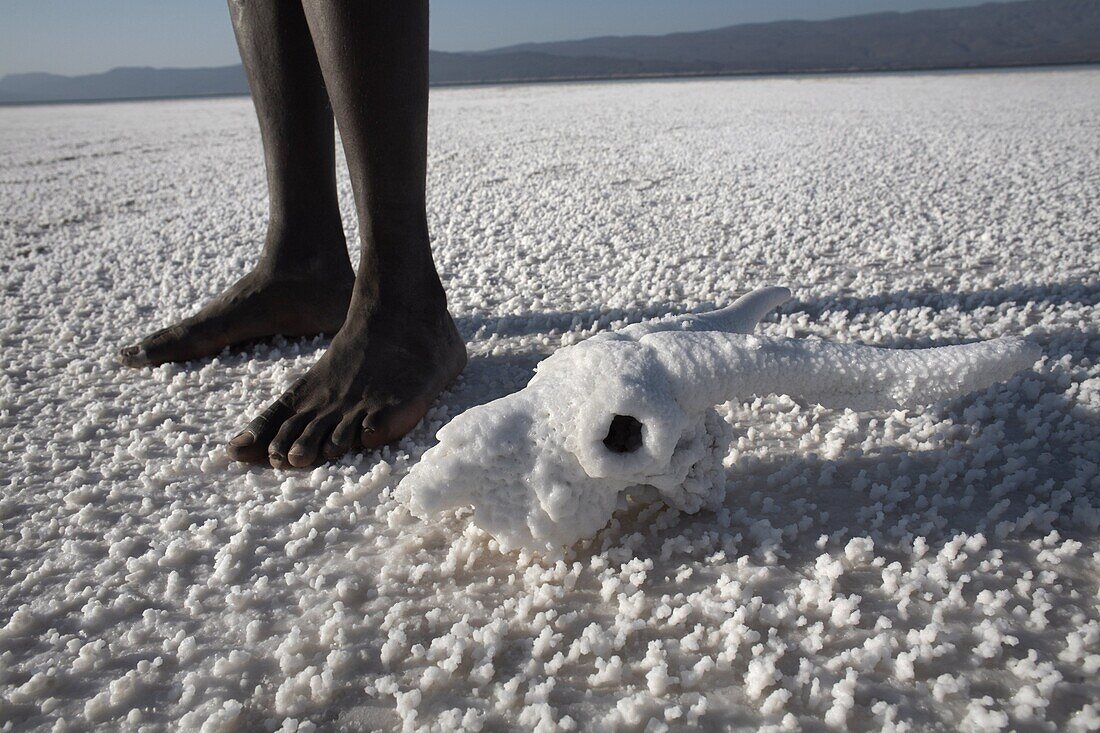Lac Assal, the lowest point on the African continent and the most saline body of water on earth, Djibouti, Africa