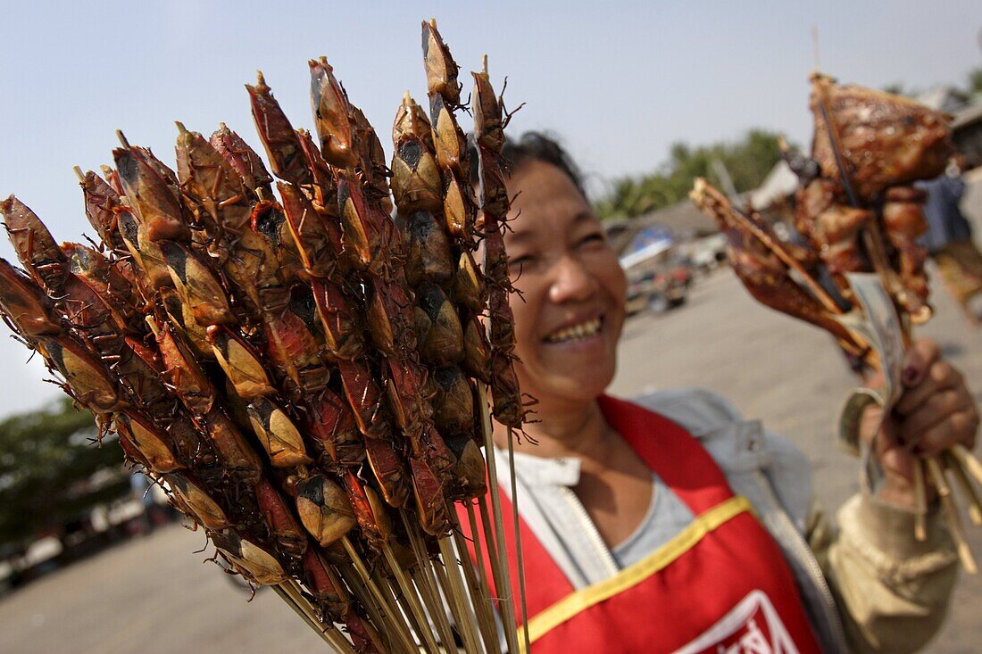 Woman selling bug skewers at a bus stop, Savannakhet province, Laos, Indochina, Southeast Asia, Asia