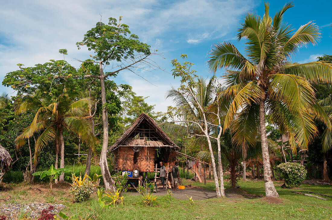 Traditionelle Hütte und Palmen, Kopar, East Sepik Provinz, Papua-Neuguinea, Südpazifik