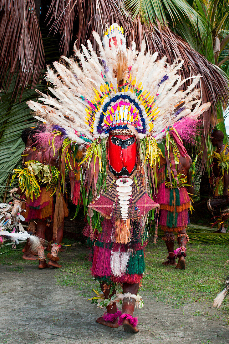 Stammesmitglied in traditionellem Kostüm beim Tanz, Kopar, East Sepik Provinz, Papua-Neuguinea, Südpazifik