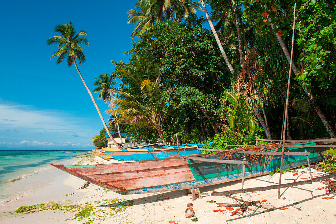 Outrigger canoes on beach and coconut trees, Biak, Papua, Indonesia, Asia