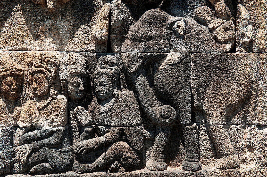 Detail von Wandrelief an der buddhistischen Tempelanlage Borobodur, Borobodur, Zentraljava, Java, Indonesien, Asien