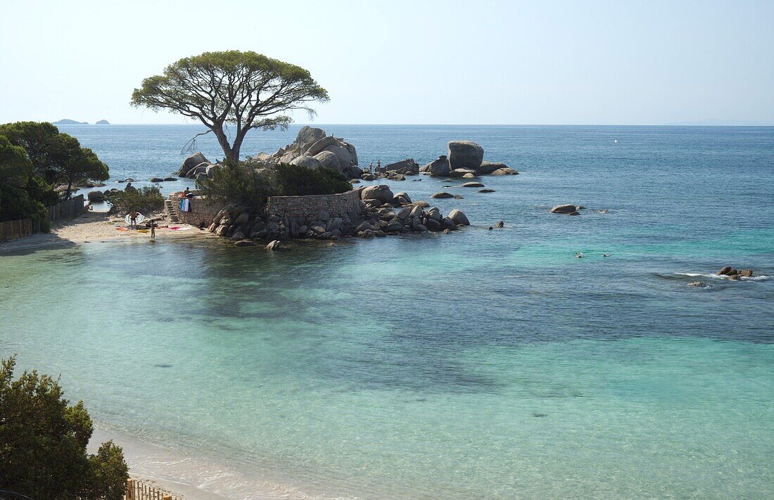Palombaggia Beach near Porto-Vecchio, Corsica, France, Mediterranean, Europe