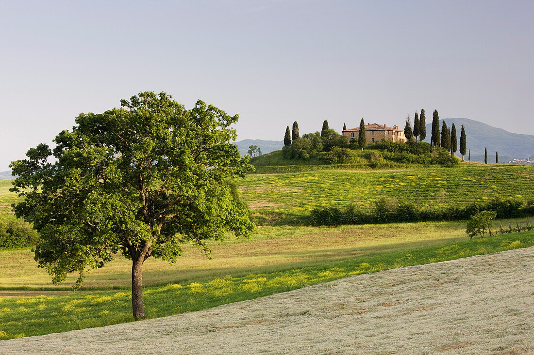 View of Belvedere from Val d'Orcia, San Quirico d'Orcia, near Pienza, Tuscany, Italy, Europe
